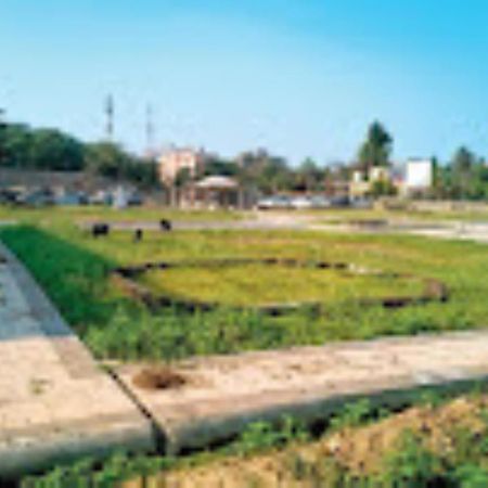 Circuit House,Cuttack Hotel Buitenkant foto